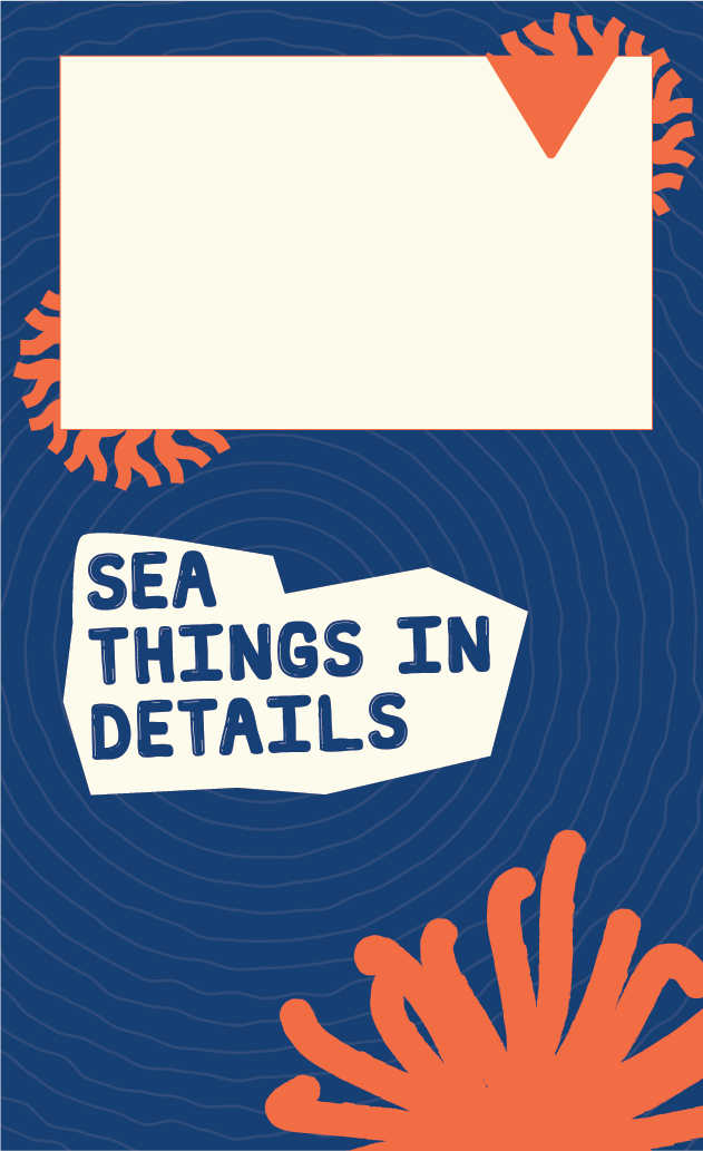 Sea-view